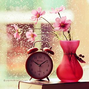 2014时光网网友评分20强