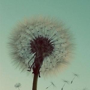 光棍节应该看的十部电影